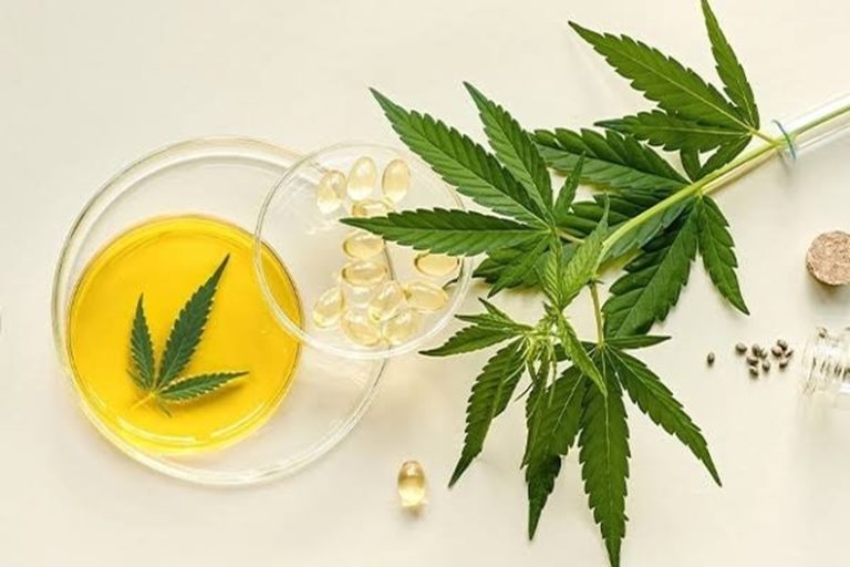 Comparing Prices: Online MMJ Certificate Renewal vs. Clinic Visits